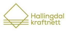 Hallingdal Kraftnett